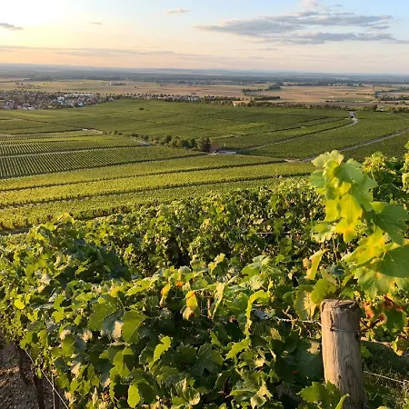 Winzerstube &