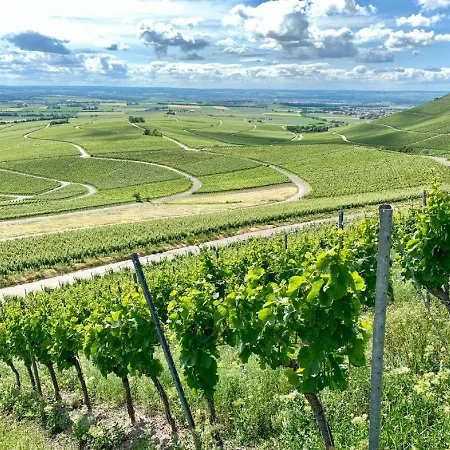 Hotel Winzerstube & Roedelsee